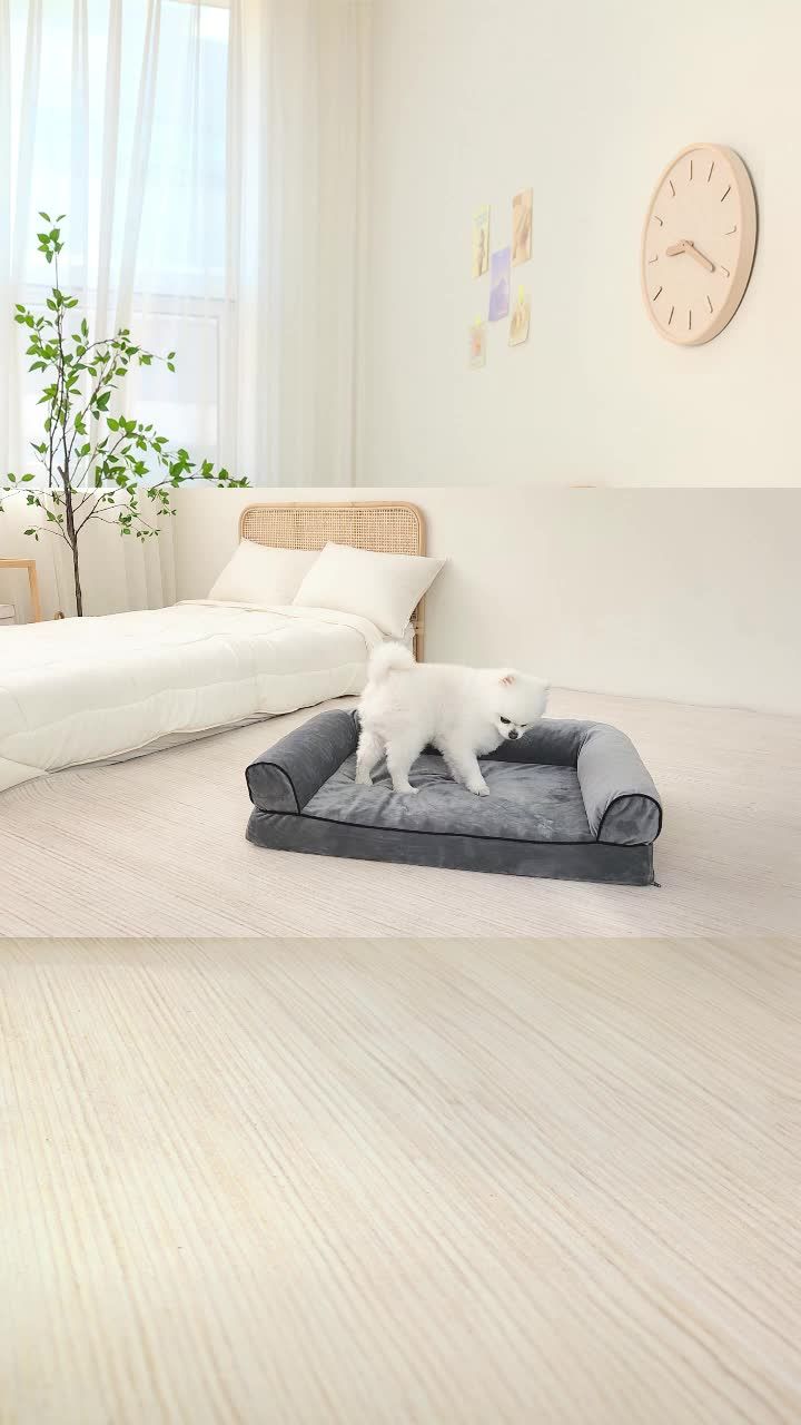 레토 강아지 소파