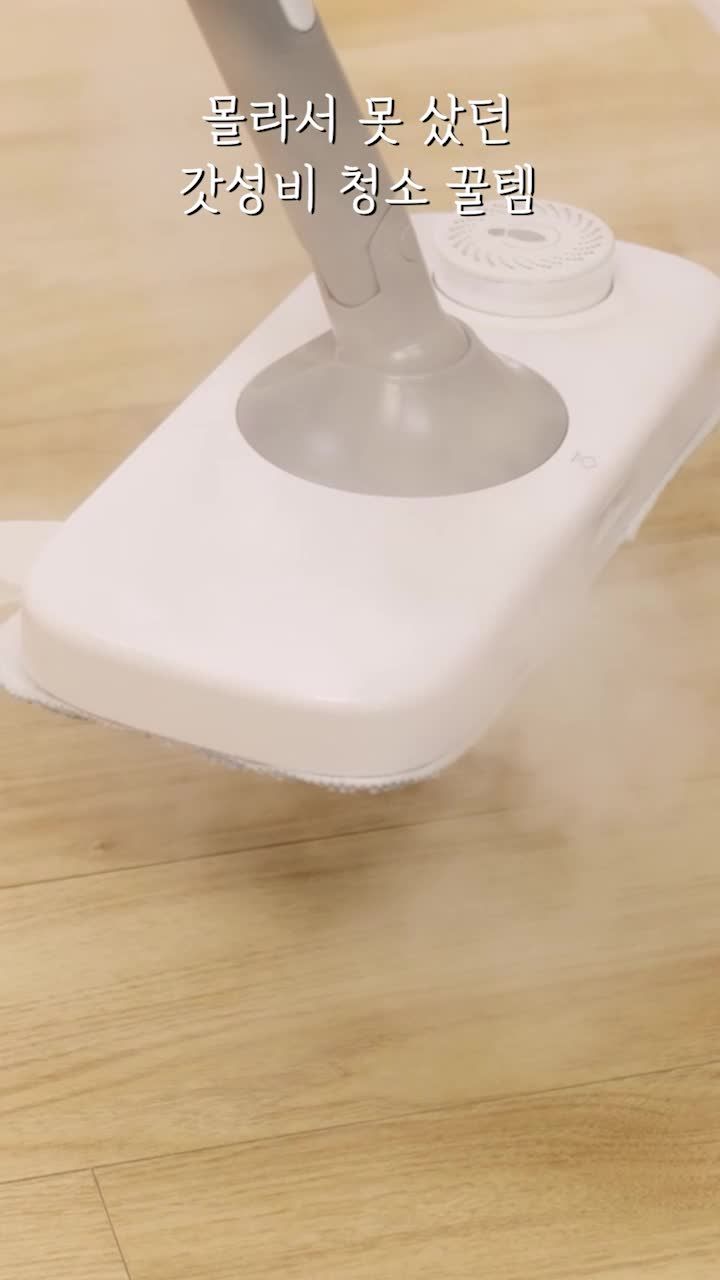 홈앤아트 퓨어 스팀청소기