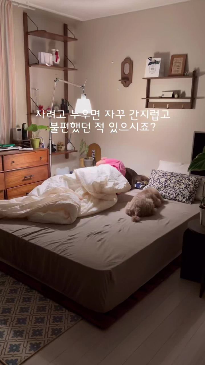 침구청소기 흡입된 먼지 이미지