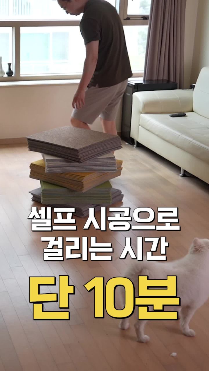 세븐펫 타일 카페트