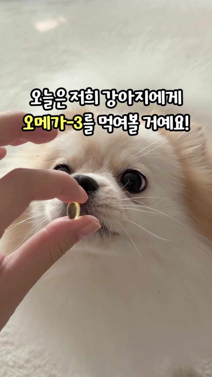 펫생각 이지하이드 트릿 포장 이미지