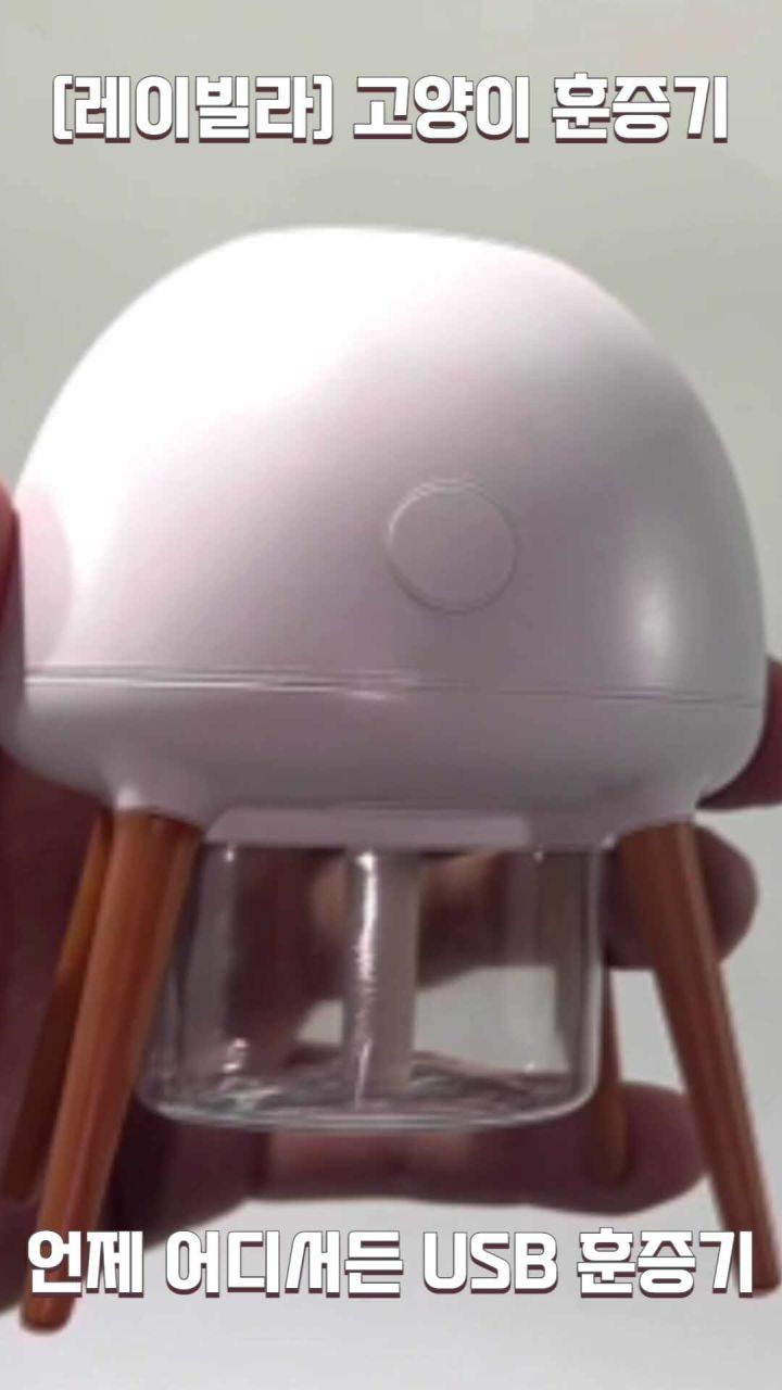 레이빌라 훈증기