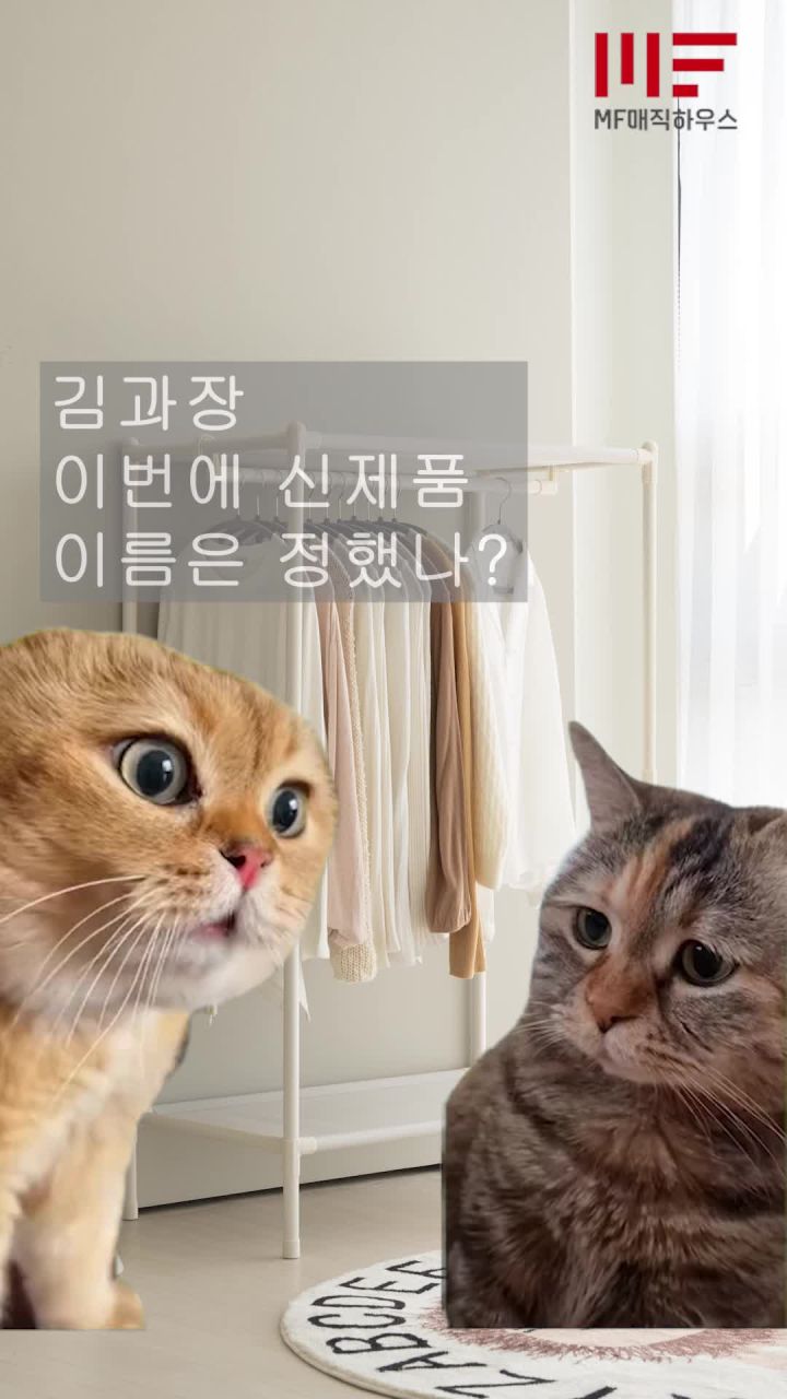 미니 행거 활용