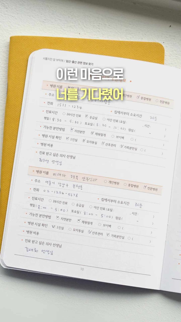 임신다이어리 세트