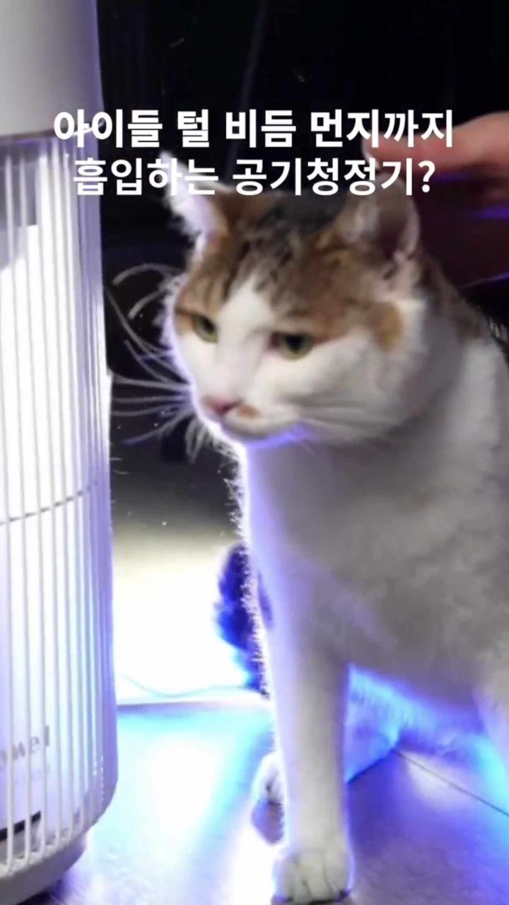 하니웰 펫 공기청정기 이미지