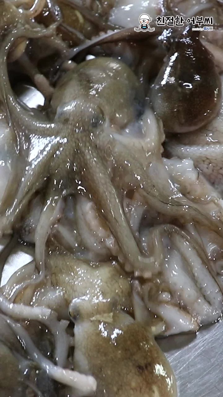 쭈꾸미 조리 이미지