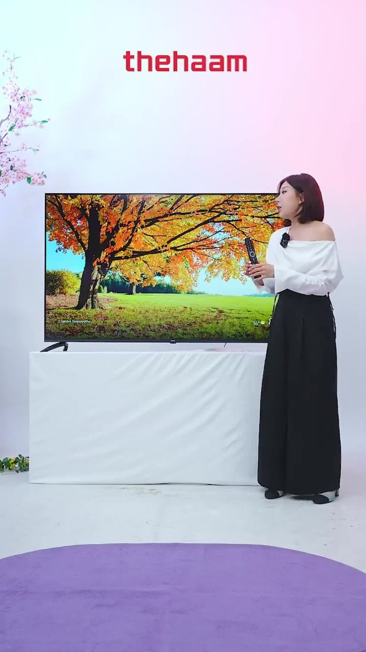 CHiQ QLED 스마트 TV