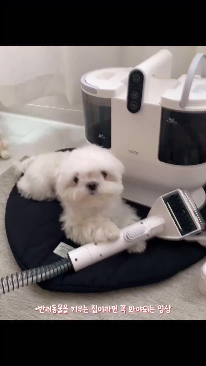 보아르 미스팀클링 습식청소기