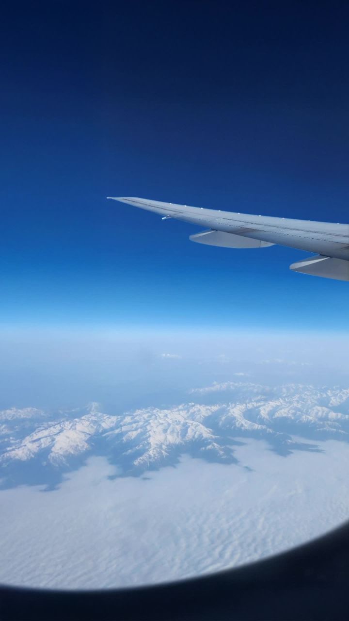 헬시얌 피부/피모