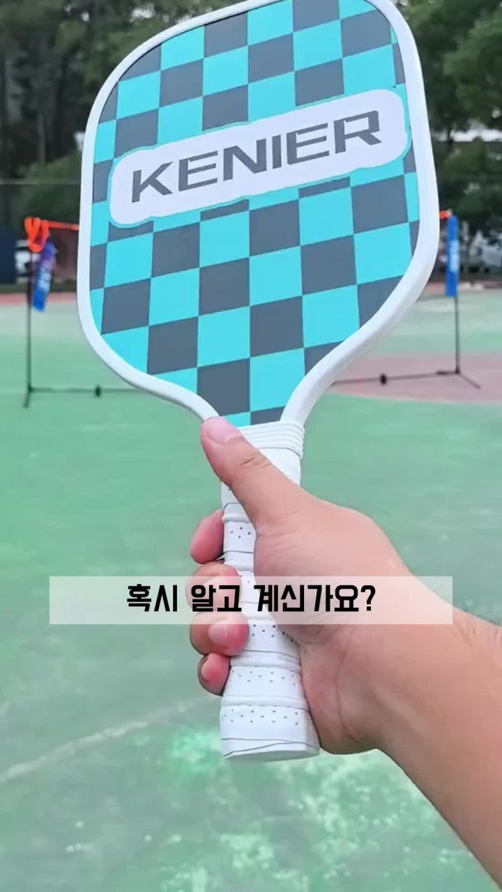 피클볼 라켓 구성