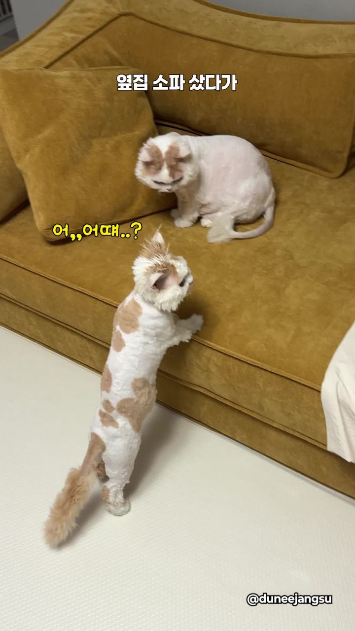 소파 구성품 이미지