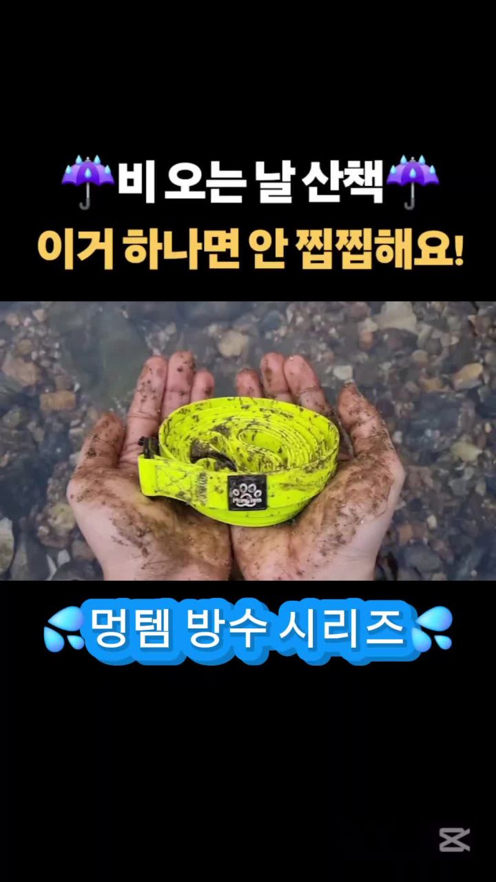멍템 방수 목줄 착용샷