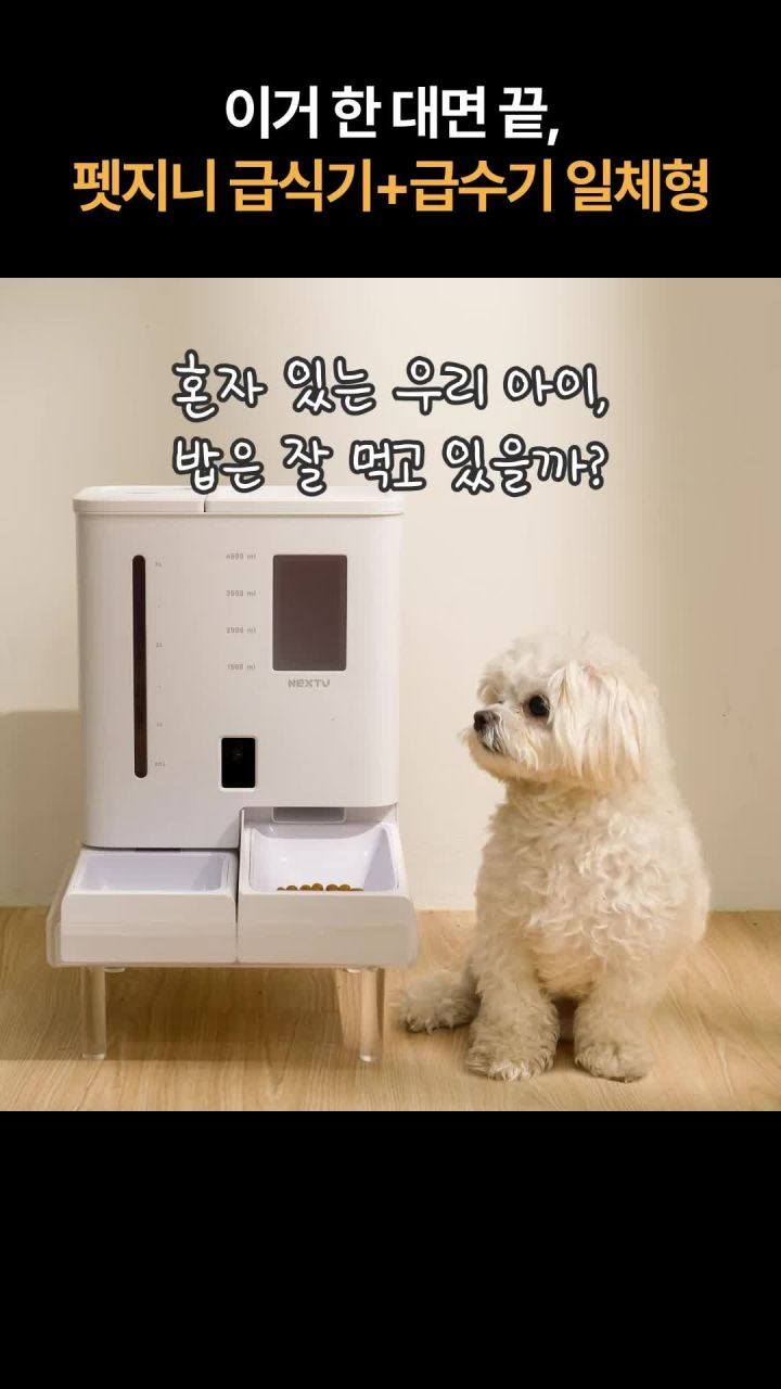 스마트 자동 급식기 사용 예시