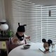 [호환] 코지키즈 블랙 트립트랩 야마토야 매트 방석 방수 쿠션