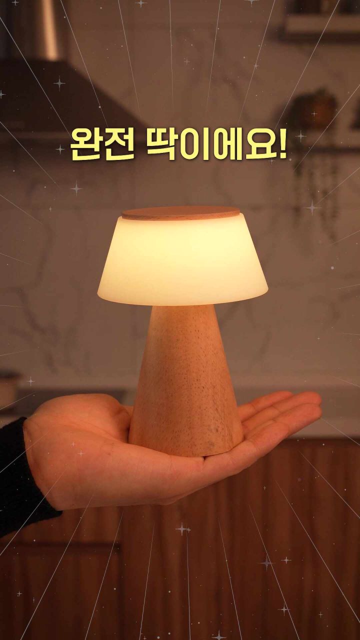 플라이토 모카우드 무드등