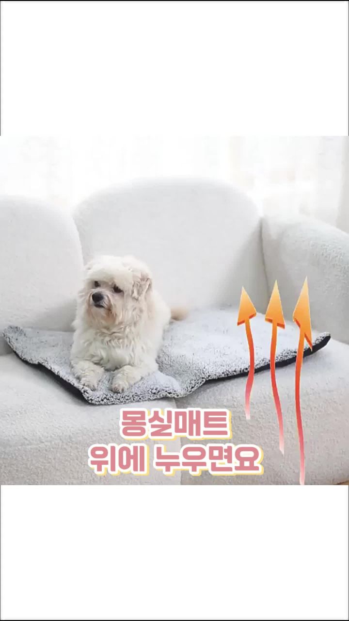 몽실펫 온열매트