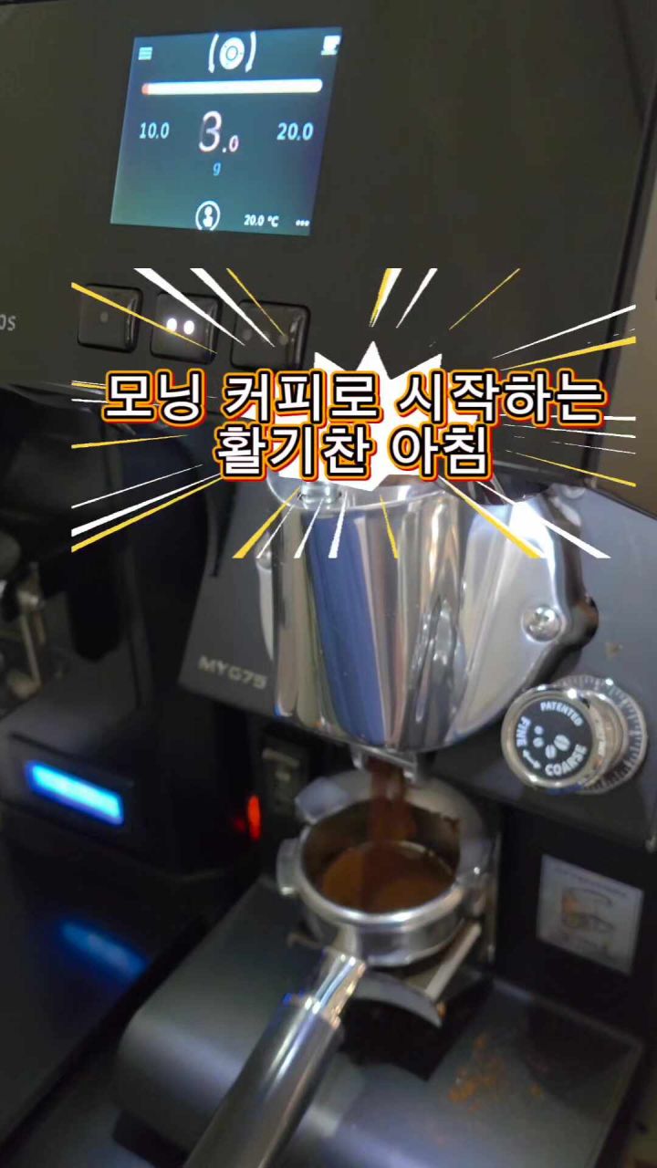 원두 단면 비교