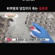 페스트세븐가드250ml 뿌리는 바퀴벌레약 빈대 벼룩 집벌레 벌레 살충제 트랩 약 박멸 약국 퇴치 제거 퇴치약 퇴치제 퇴치법