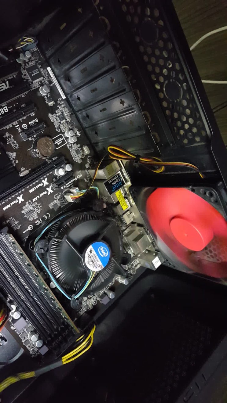  오군 피씨 사망사건...