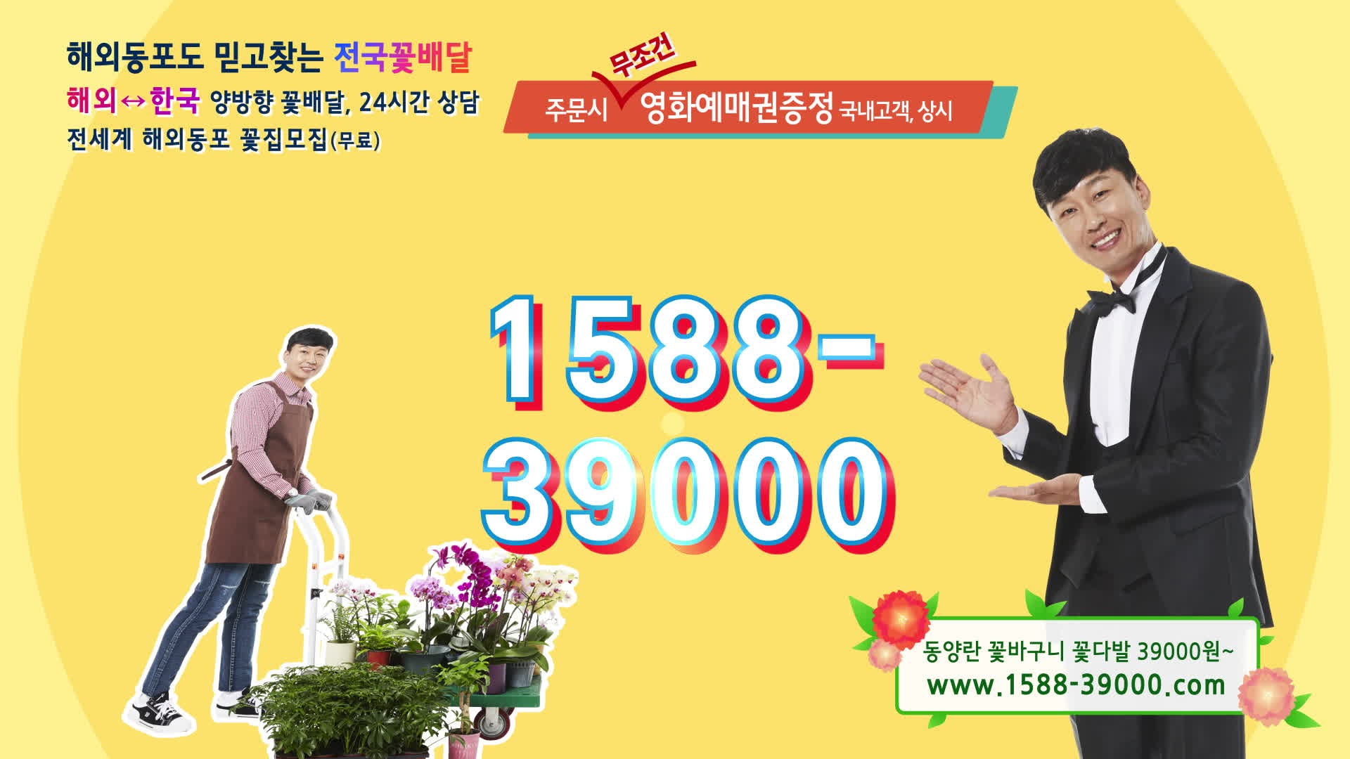 새노래 새영상, 배칠수플라워 1588-39000 해외꽃배달 전국꽃배달