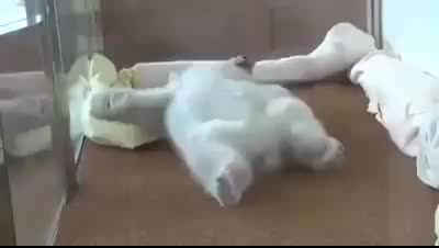  월요일 아침 상황