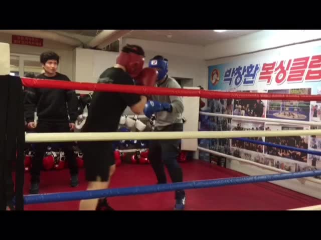 신당동복싱 동대문복싱 박창환복싱클럽 운동 제대로 하는 중!!