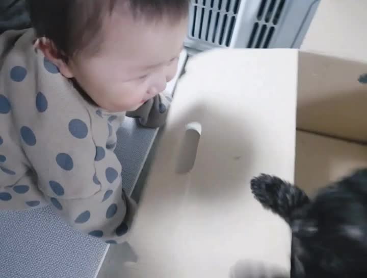  가온이 생애  강아지와의 첫만남 