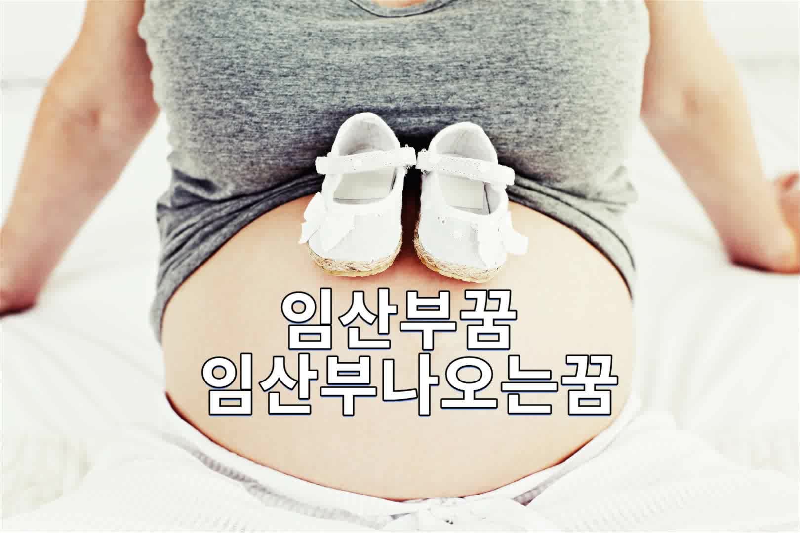 임산부꿈 임산부나오는꿈
