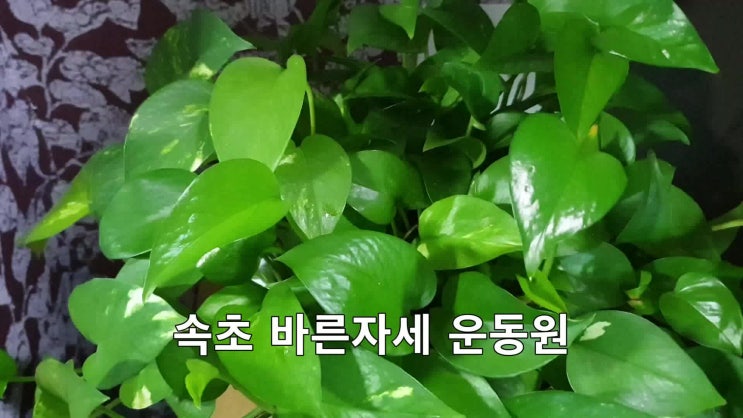  속초 마사지 그 안에 해피타임~!!