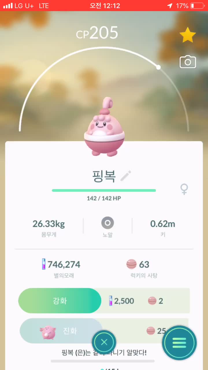  10km알에서 핑복