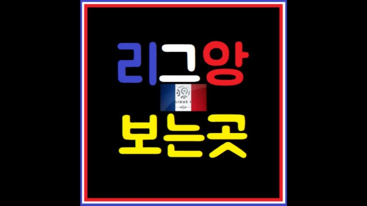 리그앙 중계 의조야잘하자