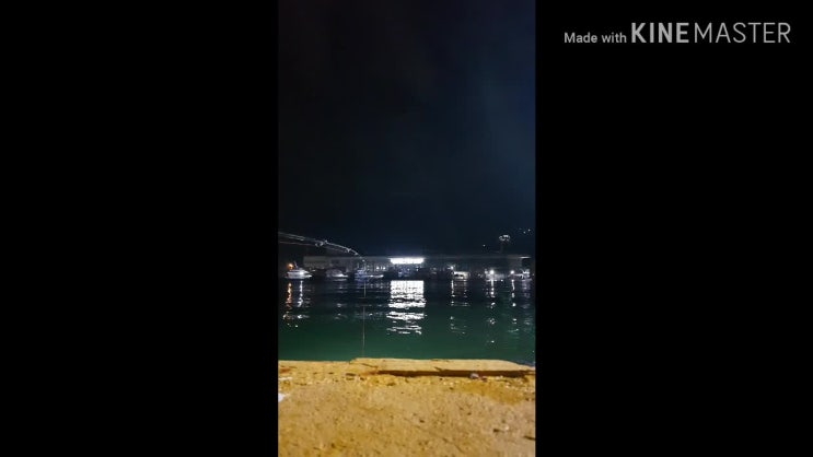  목포 갈치낚시 도보 포인트 공유, 갈치 잡는 법, 노하우 2019. 8.30. 조황