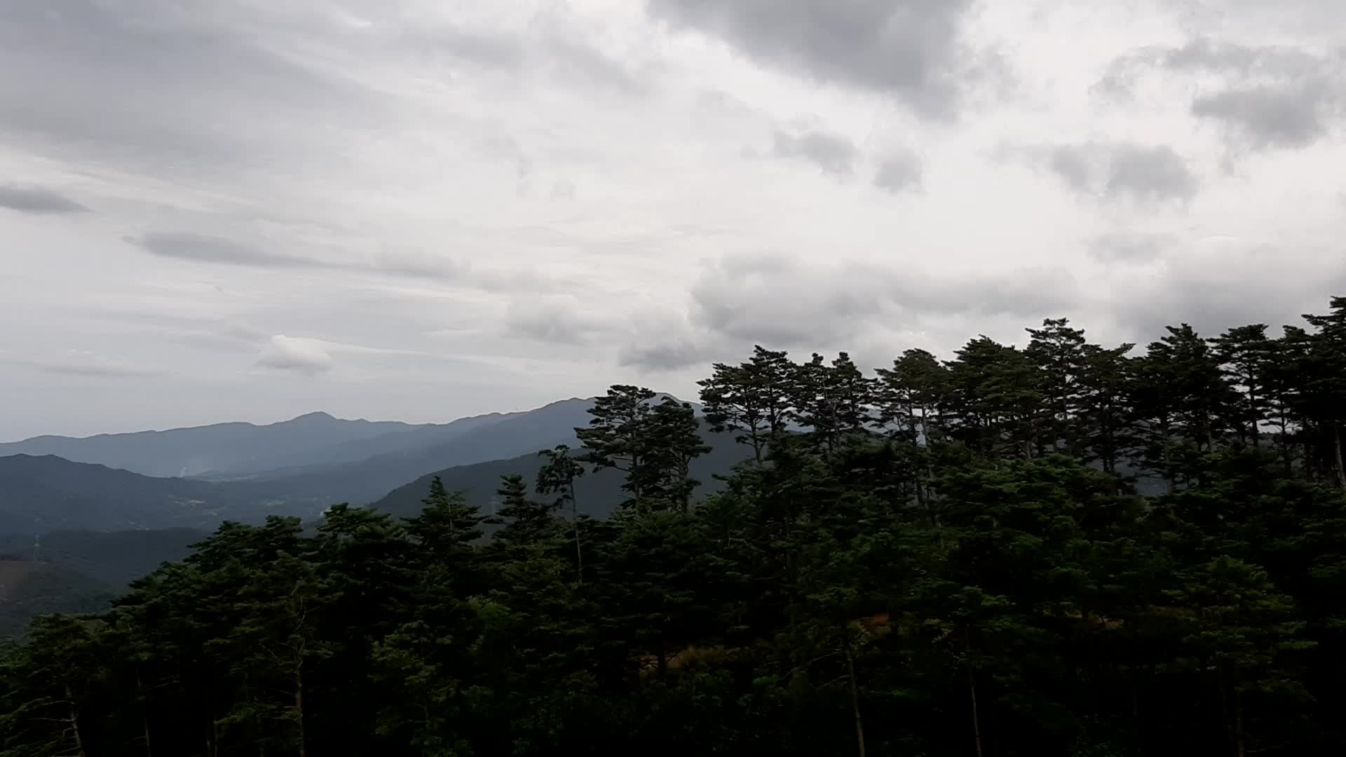 박재현컨설팅행정사사무소 이미지
