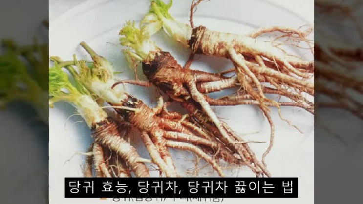 당귀 효능 당귀차 끓이는 법 : 네이버 블로그