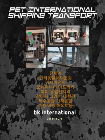  [디자인특허]강아지해외데려가기고양이반려견검역출국운송애견이동장켄넬