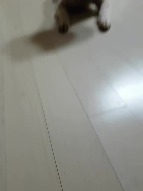  뿌띠 코! ^^