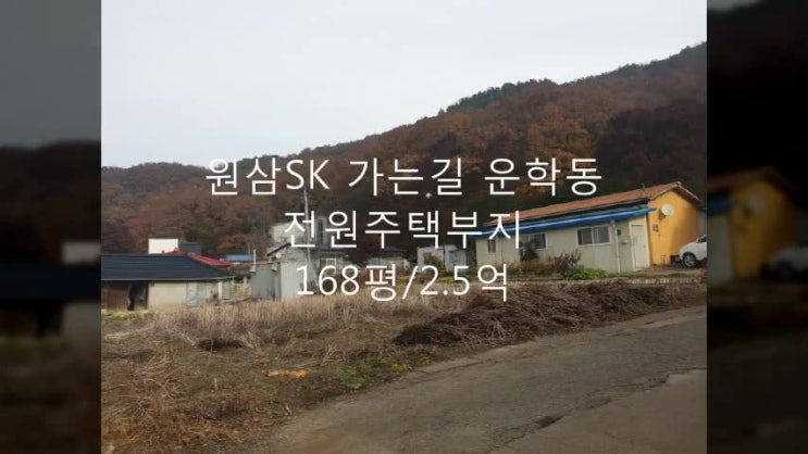  용인 원삼SK 가는길 전원주택부지 168평, 매매 2.5억  / / 돈되는 땅