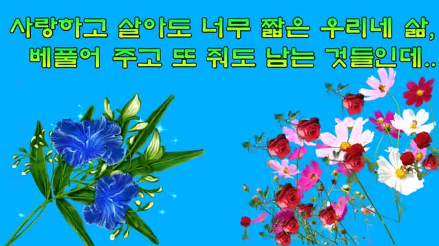 인생길 가다보면(영상) : 네이버 블로그