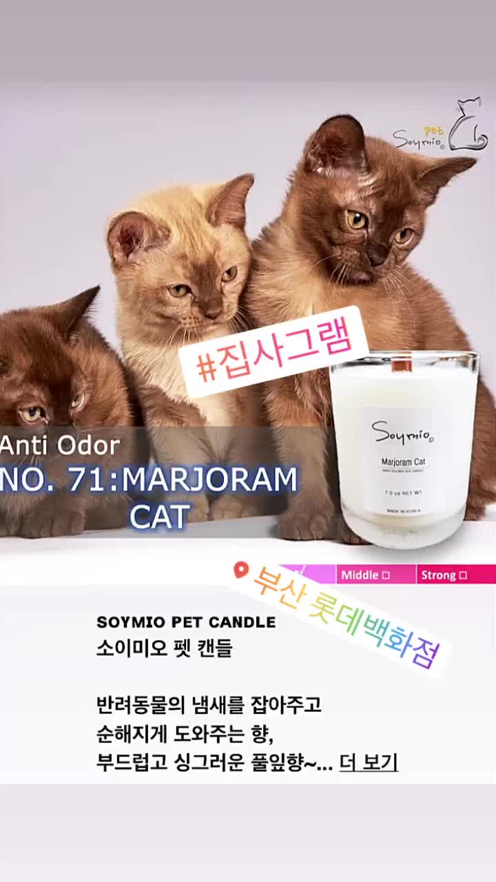  소이미오 펫 캔들이 좋아요.