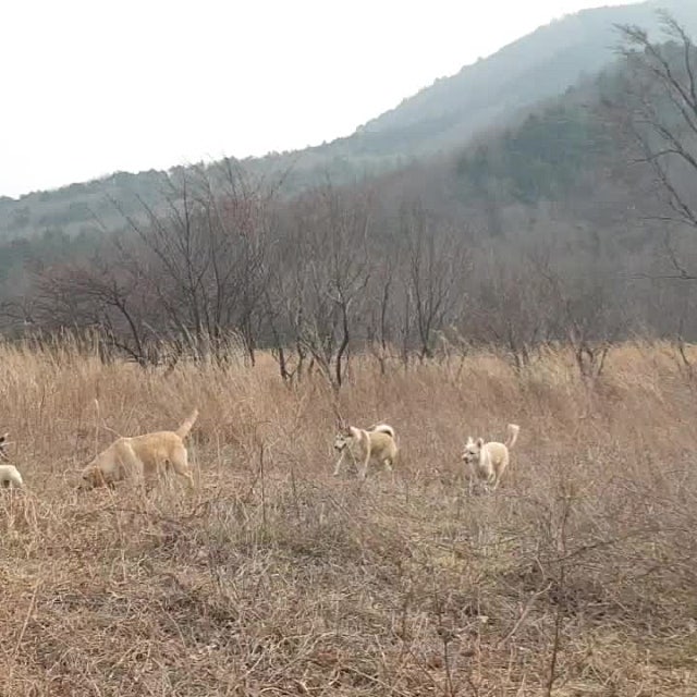 핫토픽섬네일