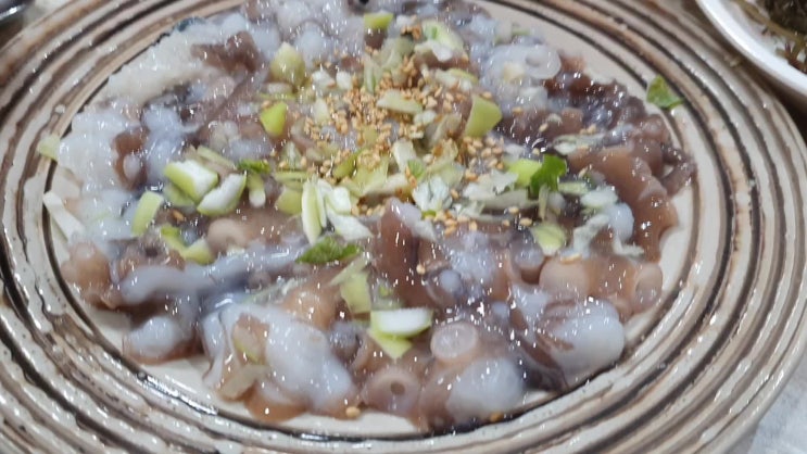 천안 낙지탕탕이 신방동 갯뻘 : 산낙지 가격 천안 낙지탕탕이 신방동 갯뻘 : 산낙지 가격