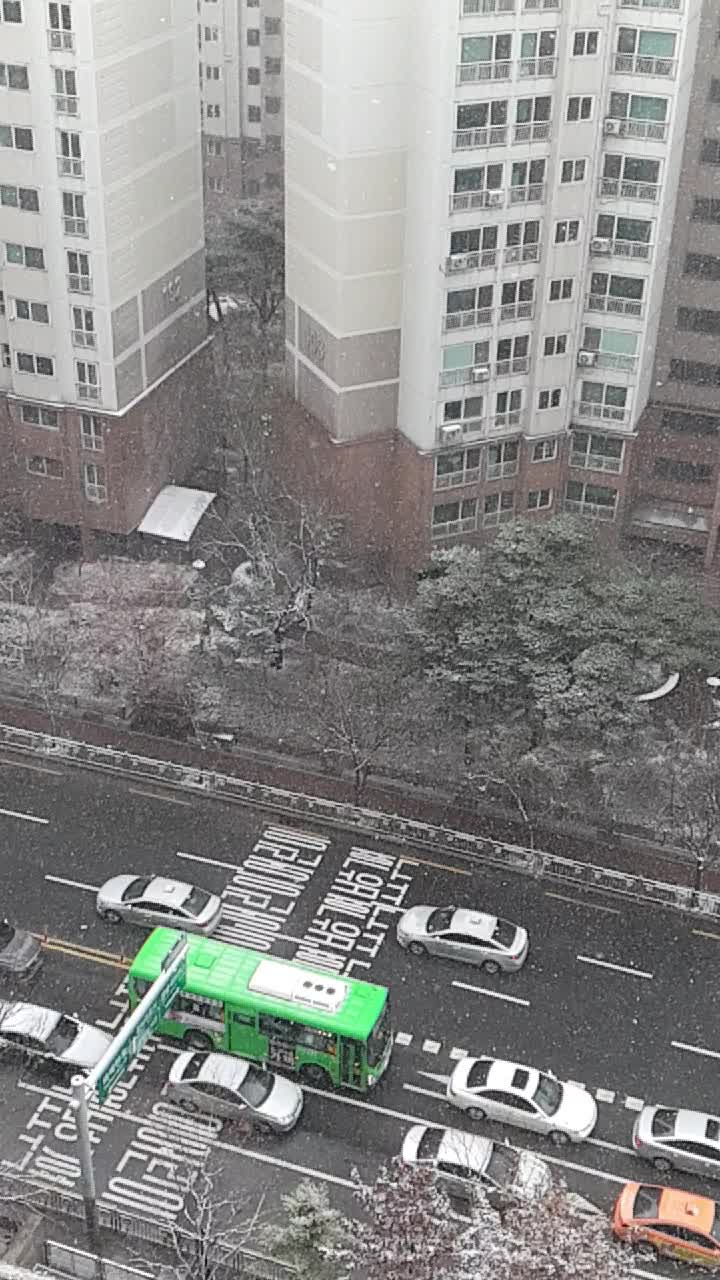  이번 겨울 마지막 눈