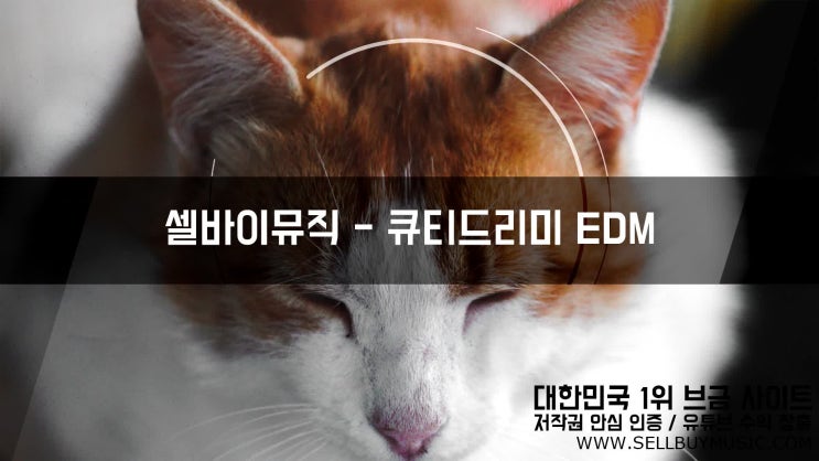  큐티드리미 귀여운 EDM 브금 무료 BGM