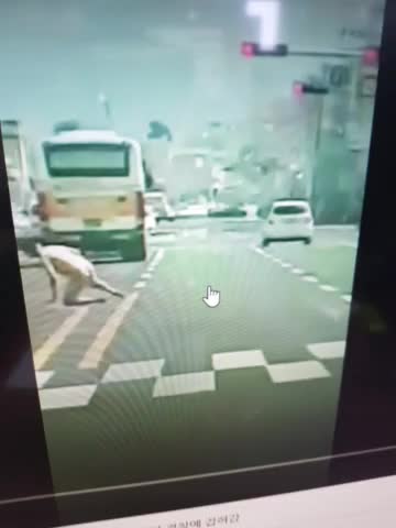  울산터미네이터