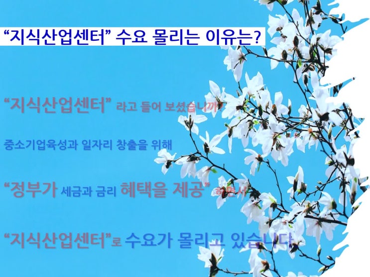  지식산업센터란 부동산 어디에 투자하십니까? "듀클래스"의질문