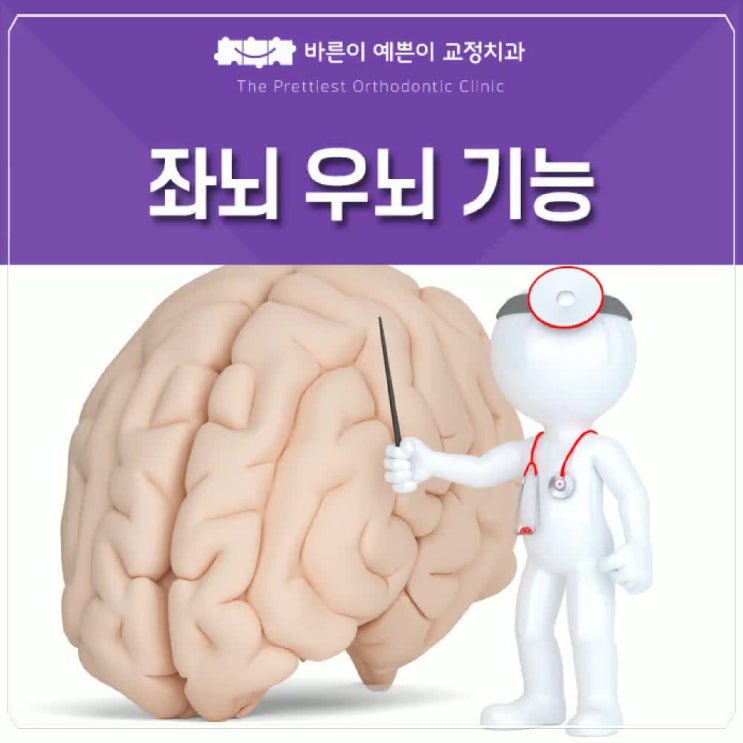 좌뇌 우뇌 기능을 균형있게 발달 시키는 방법 : 네이버 블로그