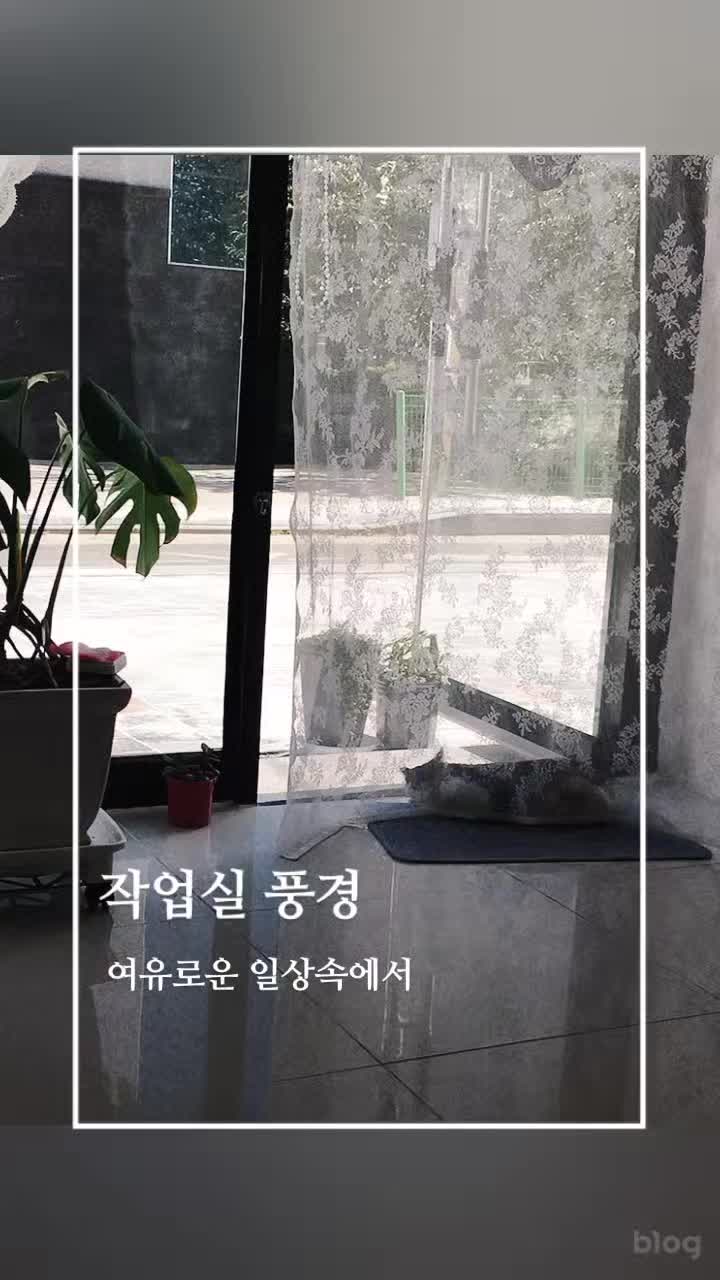  작업실 풍경..네이버 모먼트 만들기 해보았어요^^