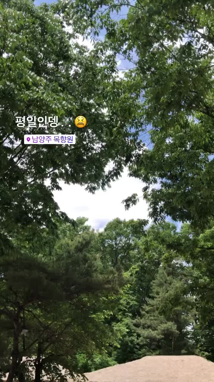  남양주목향원/가평대너리스카페 간만에!!드라이브