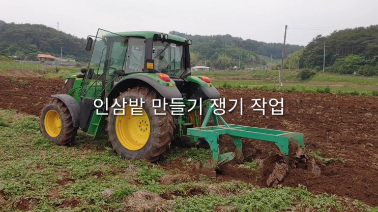 인삼밭 예정지 쟁기작업 : 네이버 블로그