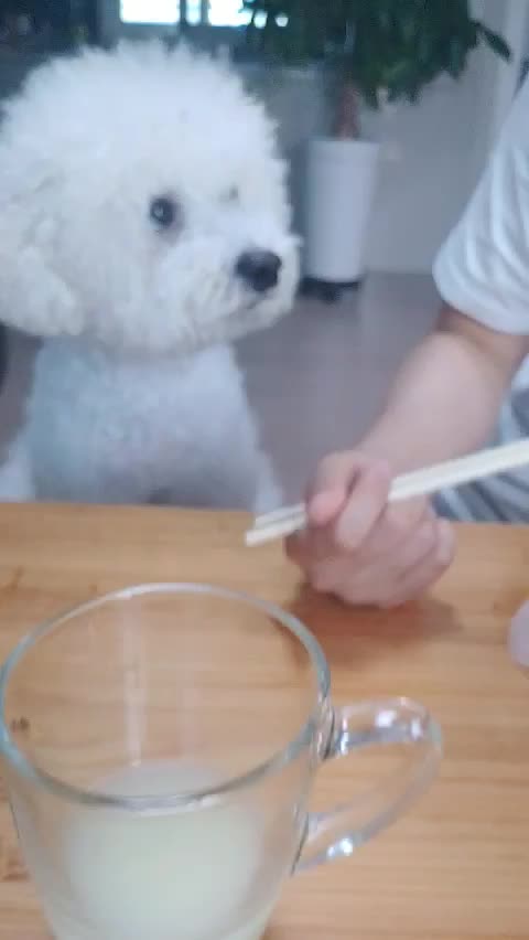  쑝아 엽떡은 먹으면 너 큰일난다~